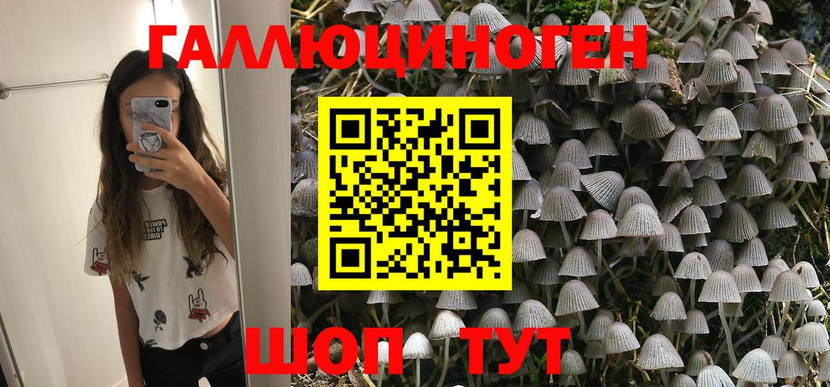 Псилоцибиновые грибы Psilocybe Усть-Лабинск