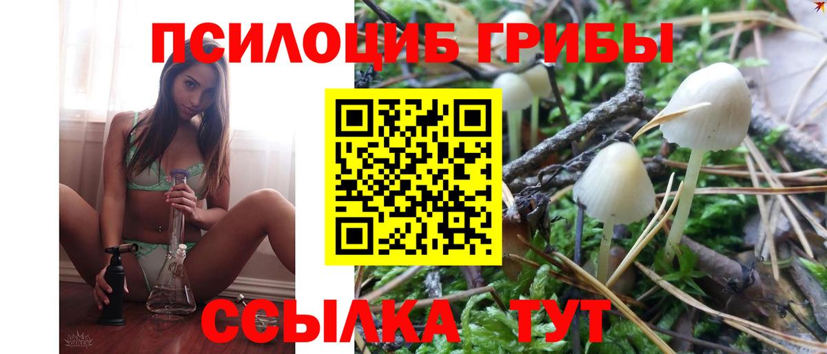 Галлюциногенные грибы мухоморы  Галлюциногенные грибы прущие грибы  Усть-Лабинск  Вход с VPN 